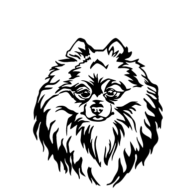 Шпіц 2